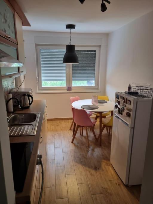Studio Apartman Bojana 34M2,Free Wifi,Parking Sisak Exteriör bild