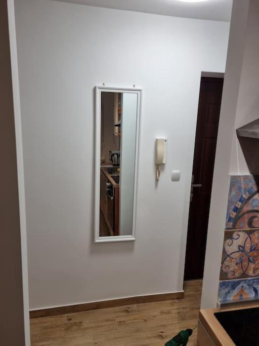 Studio Apartman Bojana 34M2,Free Wifi,Parking Sisak Exteriör bild