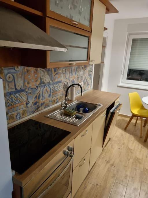 Studio Apartman Bojana 34M2,Free Wifi,Parking Sisak Exteriör bild
