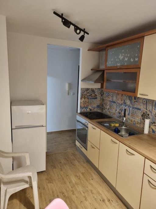Studio Apartman Bojana 34M2,Free Wifi,Parking Sisak Exteriör bild