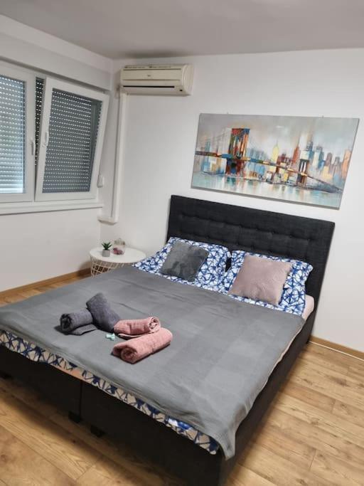 Studio Apartman Bojana 34M2,Free Wifi,Parking Sisak Exteriör bild