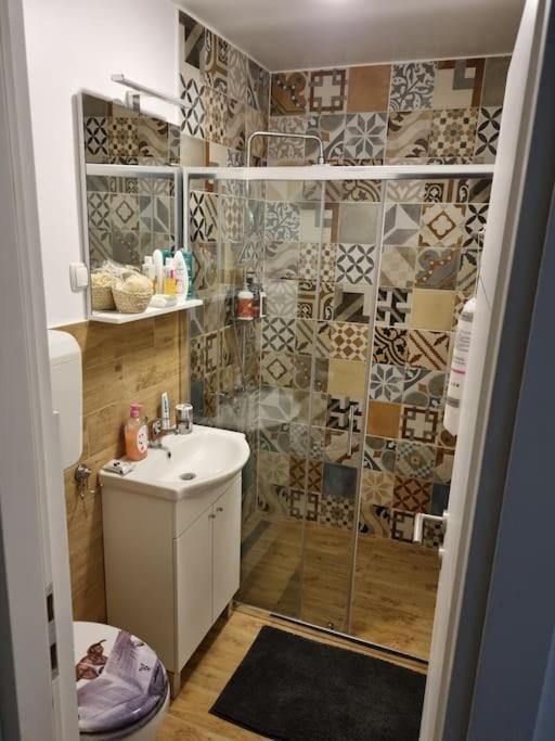 Studio Apartman Bojana 34M2,Free Wifi,Parking Sisak Exteriör bild