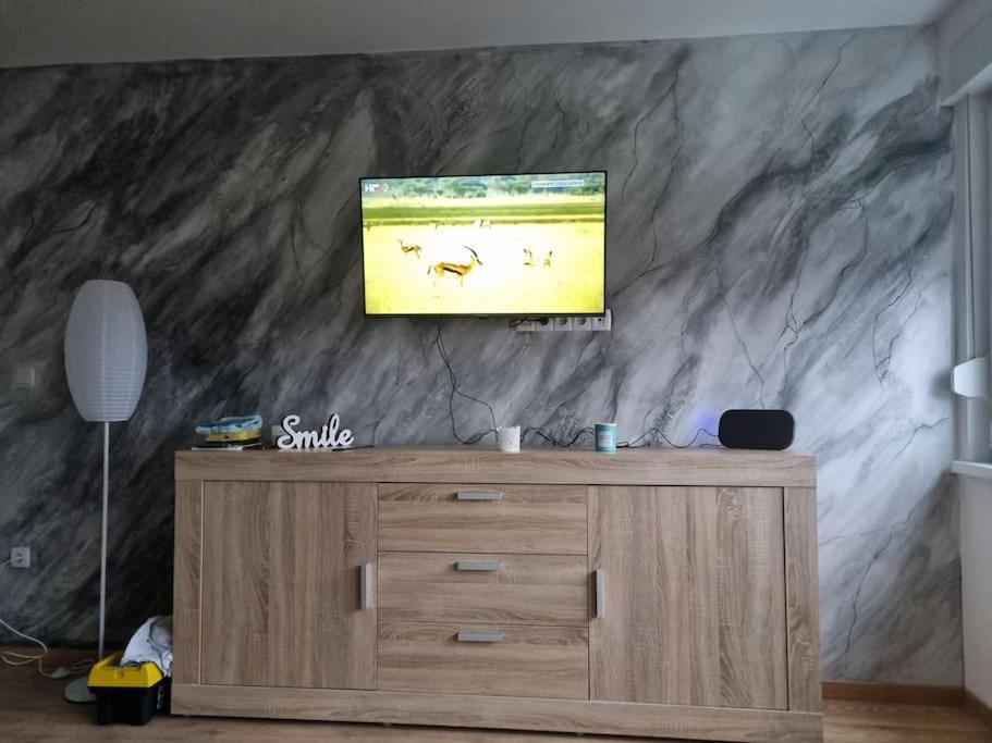 Studio Apartman Bojana 34M2,Free Wifi,Parking Sisak Exteriör bild