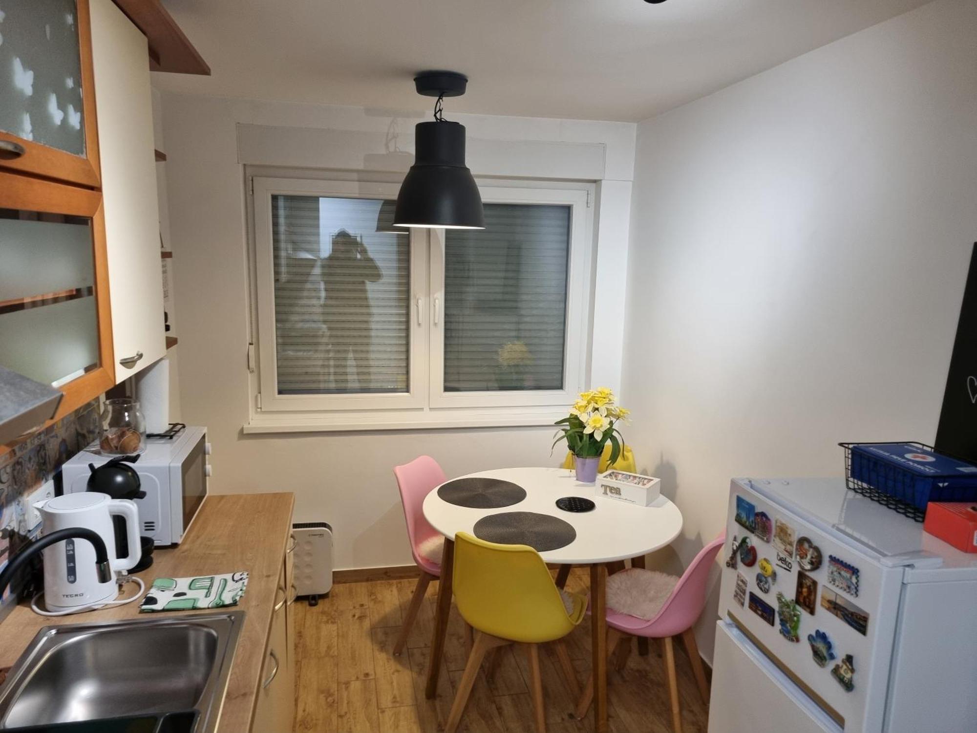 Studio Apartman Bojana 34M2,Free Wifi,Parking Sisak Exteriör bild